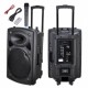 Rechargeable Bluetooth karaoke trolley speaker with wireless microphone