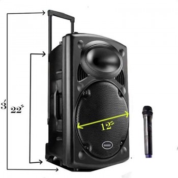 Rechargeable Bluetooth karaoke trolley speaker with wireless microphone